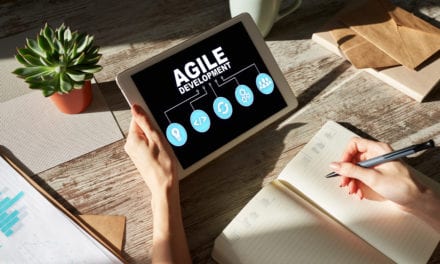Scaling agility can only be done from the company’s own perspective